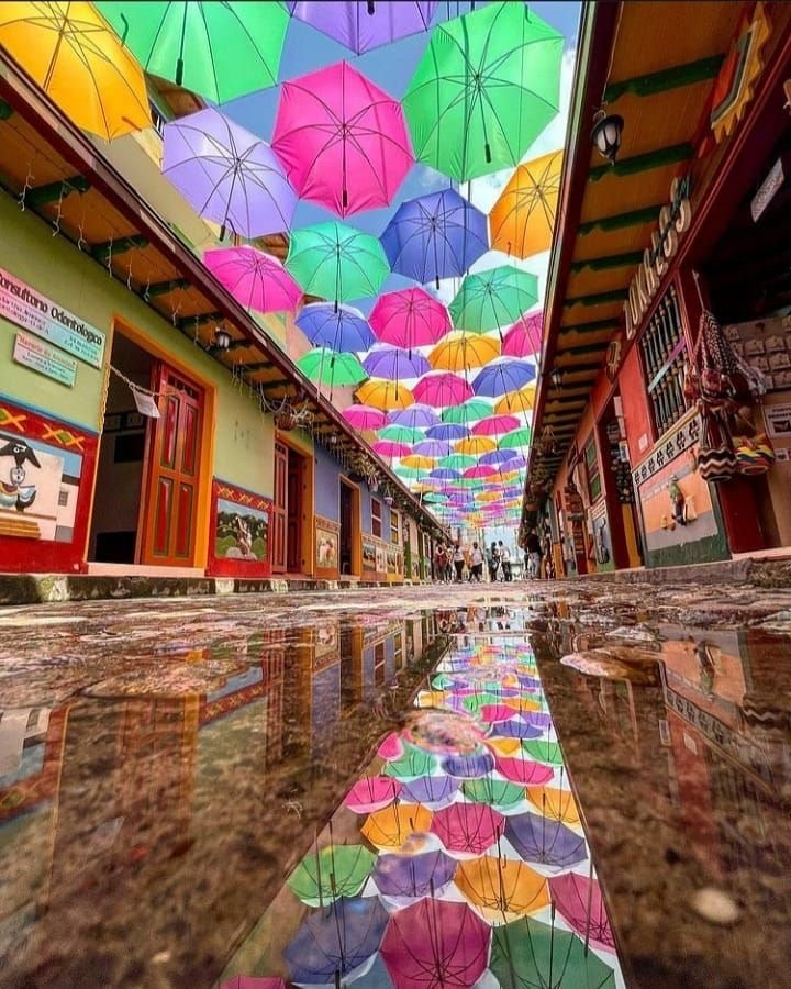TOUR GUATAPÉ - Imagen 12