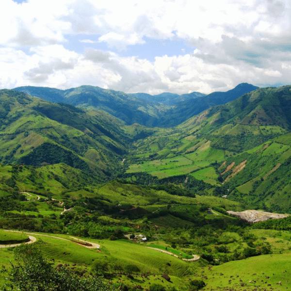 TOUR ORIENTE - Imagen 3