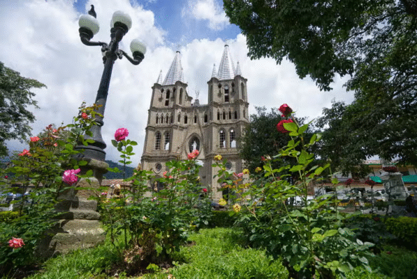 TOUR JARDÍN - Imagen 4