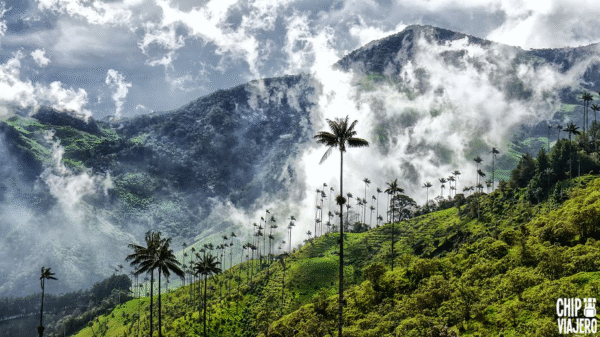 MEDELLÍN – SALENTO - Imagen 2