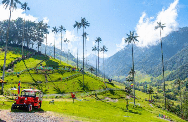 MEDELLÍN – SALENTO - Imagen 3
